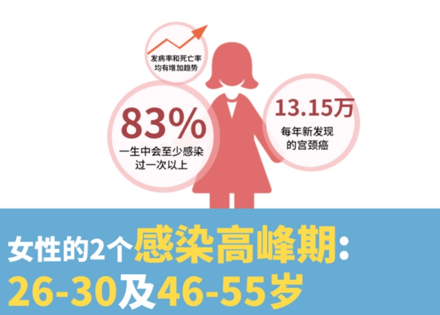 女性的2個感染高峰期：26-30及46-55歲